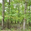Mobile Home Lot for Sale: Land - WINCHESTER, VA, Winchester, VA