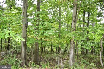 Photo of Mobile Home Lot