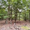 Mobile Home Lot for Sale: Land - BAKER, WV, Baker, WV
