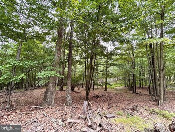 Photo of Mobile Home Lot