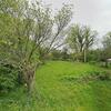 Mobile Home for Rent: 1969 Mobile Home