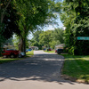 Community Image