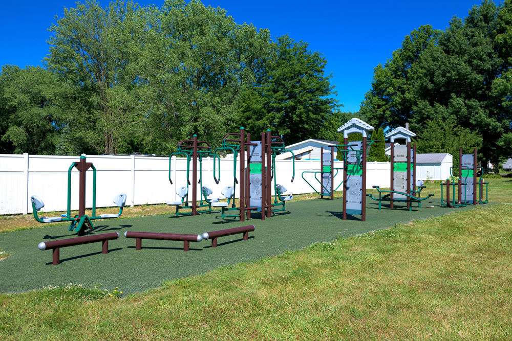 Community Image