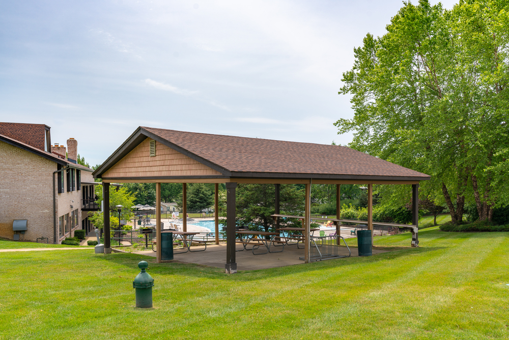 Community Image