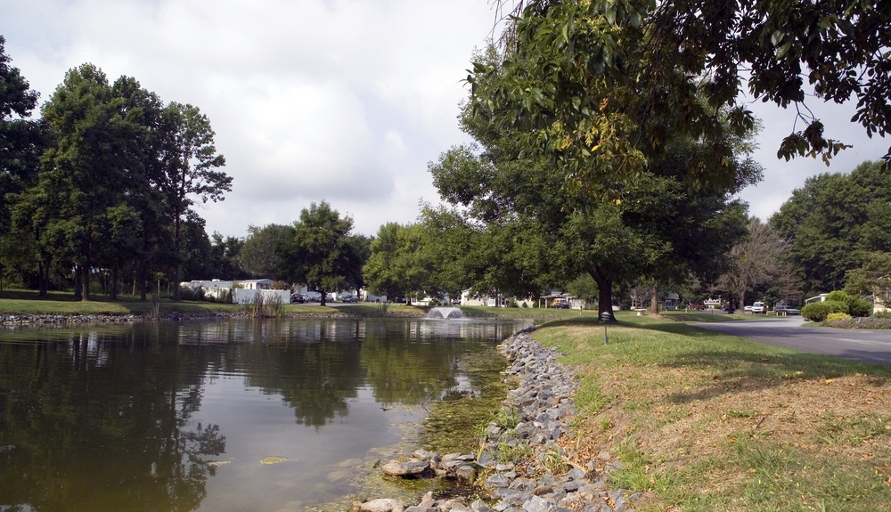 Community Image