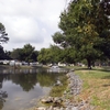 Community Image