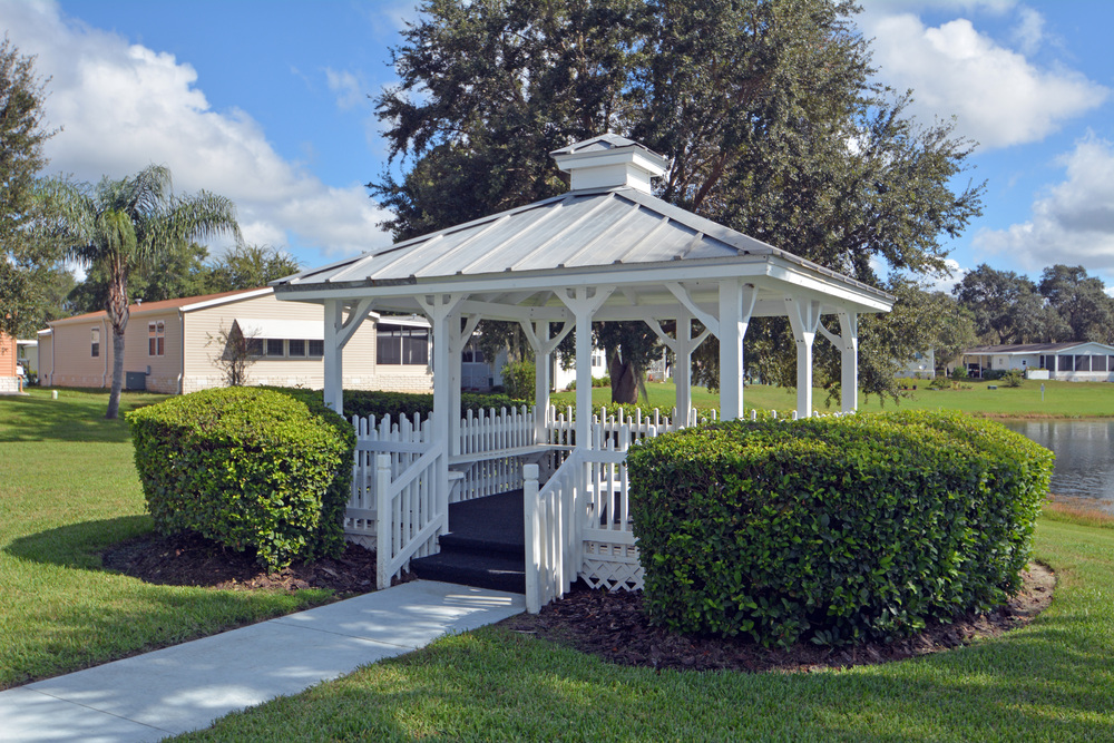 Community Image
