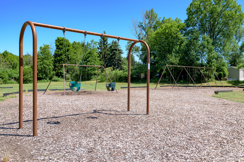 Community Image