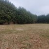 Mobile Home Lot for Sale: Land - EARLEVILLE, MD, Earleville, MD