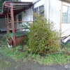 Mobile Home for Sale: 2 Bed 1 Bath 1976 Mobile Home