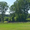 Mobile Home for Sale: 3 Bed 2 Bath 1991 Mobile Home