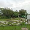 Mobile Home for Sale: 1986 Mobile Home