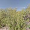 Mobile Home for Sale: 2021 Mobile Home