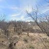 Mobile Home for Sale: 1999 Mobile Home