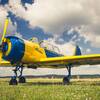 Aircraft for Sale: Yakovlev Yak-52