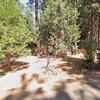 Mobile Home for Sale: 2 Bed 2 Bath 1982 Mobile Home