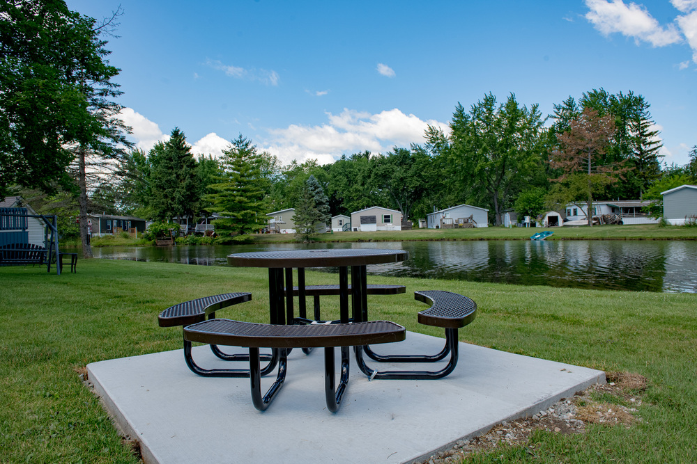 Community Image