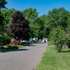 Community Image