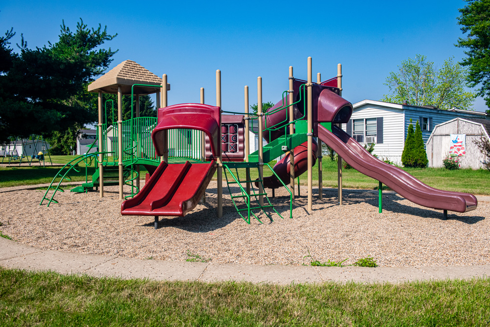 Community Image