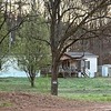 Mobile Home for Sale: 2013 Mobile Home
