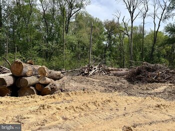 Photo of Mobile Home Lot