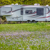 RV for Sale: 2011 LAREDO 295RK