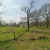 Mobile Home for Sale: 2008 Mobile Home