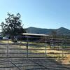 Mobile Home for Sale: 3 Bed 2 Bath 1984 Mobile Home