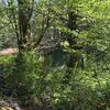 Mobile Home for Sale: 3 Bed 2 Bath 1996 Mobile Home