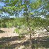 Mobile Home for Sale: 1 Bed 1 Bath 1969 Mobile Home