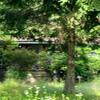 Mobile Home for Sale: 3 Bed 2 Bath 1991 Mobile Home