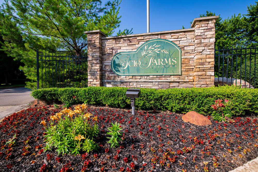 Community Image