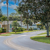 Community Image
