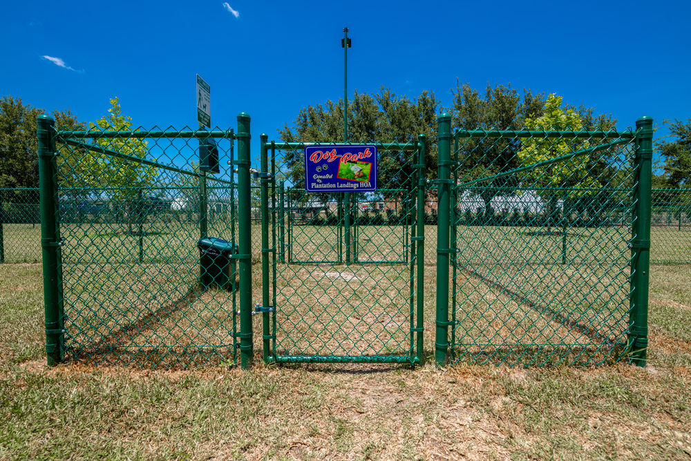 Community Image