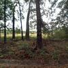 Mobile Home for Sale: 1998 Mobile Home