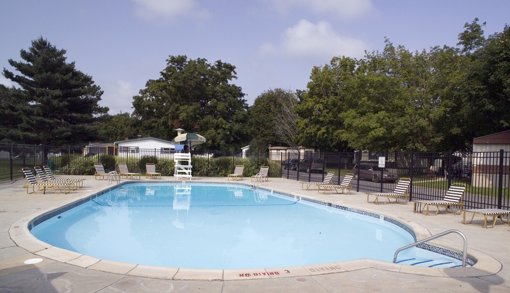 Community Image