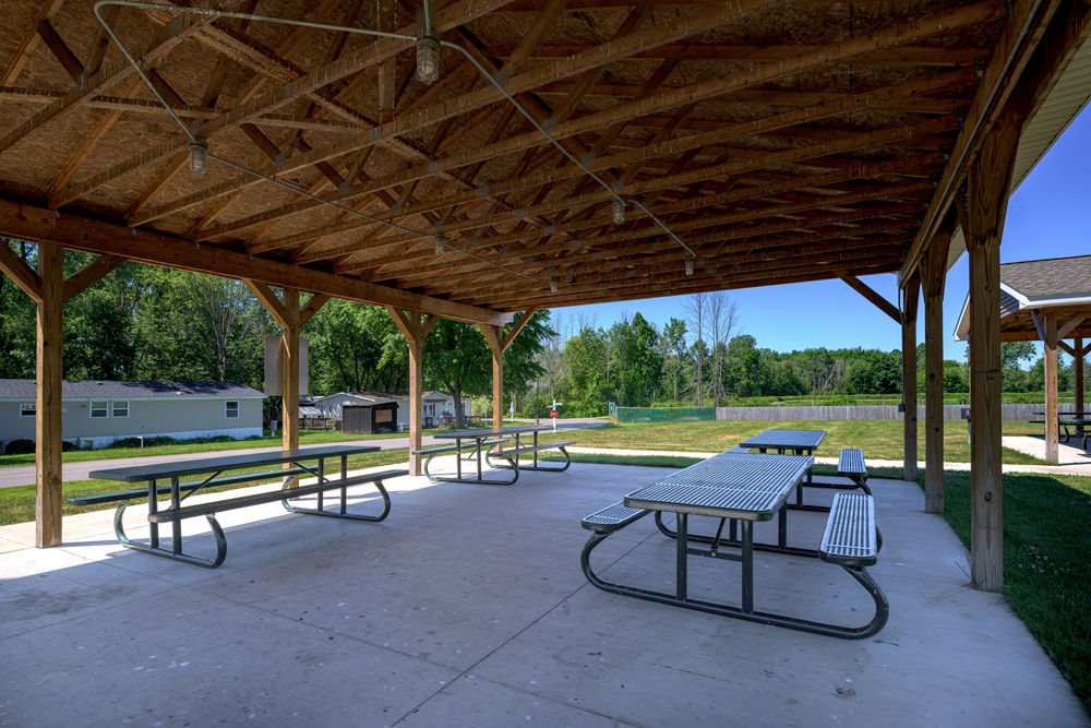 Community Image