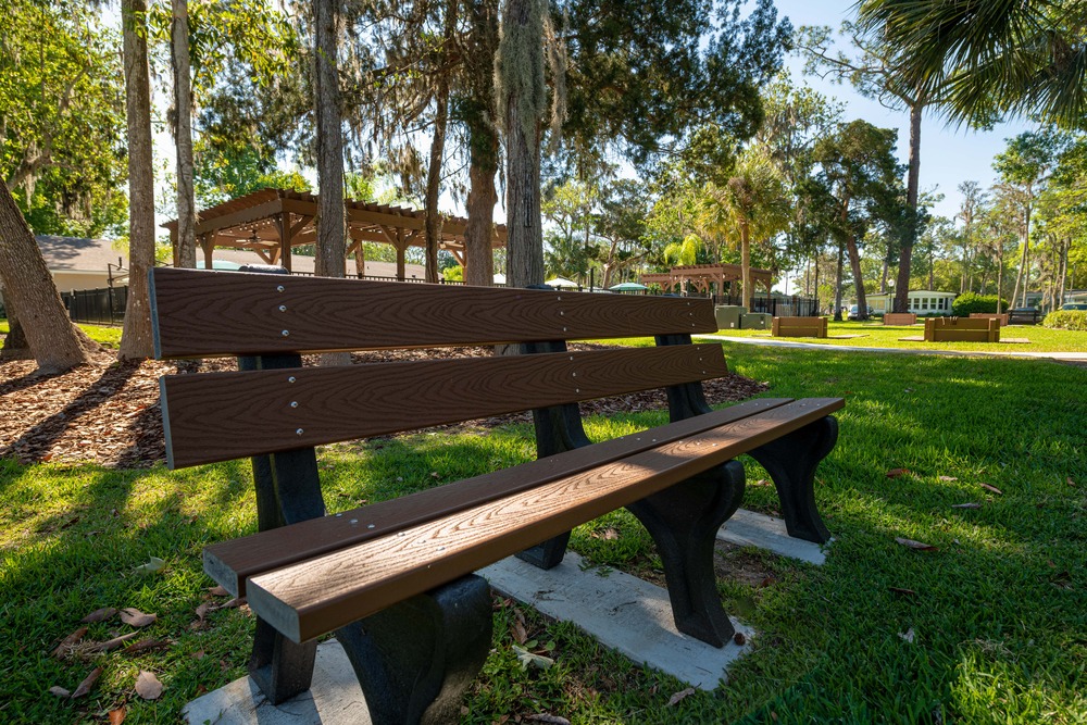 Community Image