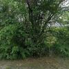 Mobile Home for Sale: Mobile Home