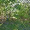 Mobile Home for Sale: Mobile Home