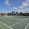 Community Image