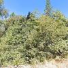 Mobile Home for Sale: Mobile Home