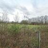 Mobile Home for Sale: 4 Bed 2 Bath 2009 Mobile Home