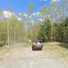 Mobile Home for Sale: 2 Bed 1 Bath 1973 Mobile Home