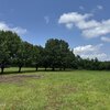 Mobile Home for Sale: Manufactured Home - Williamston, NC, Williamston, NC