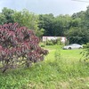 Mobile Home for Sale: 1998 Mobile Home