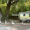 RV for Sale: 2021 Caravel 22FB