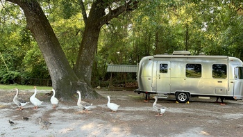 Thumbnail of RV