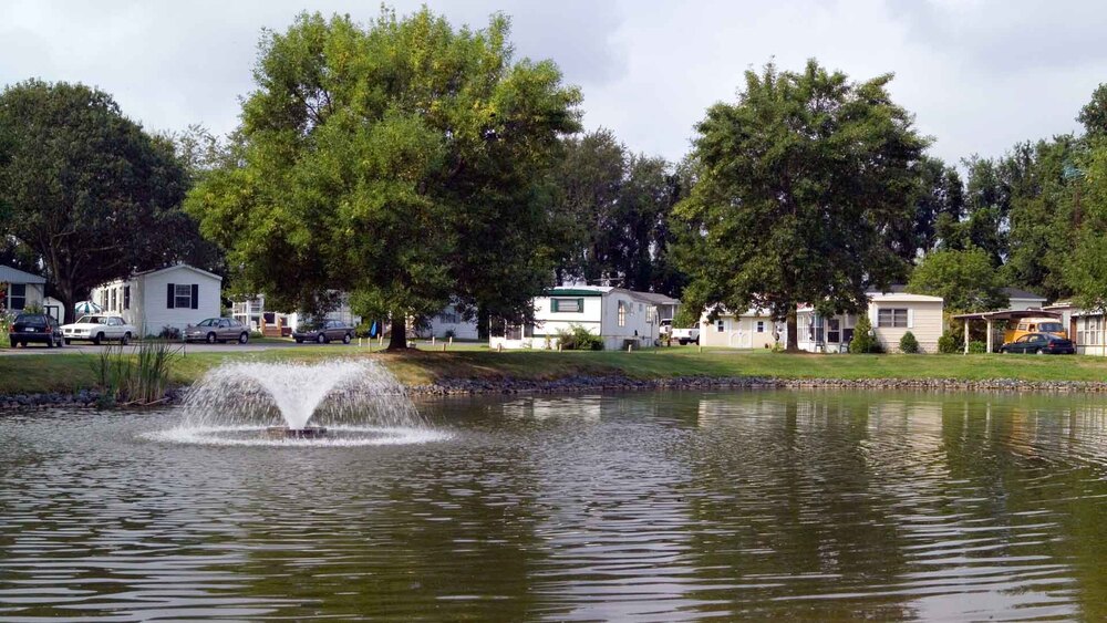Community Image