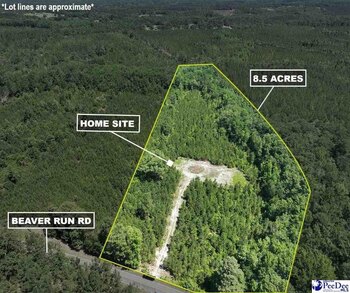 Photo of Mobile Home Lot